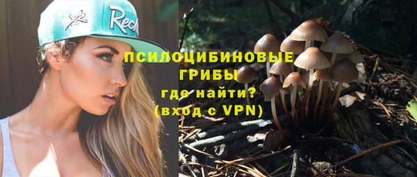 экстази Богородск