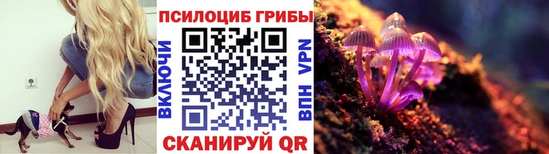 Псилоцибиновые грибы мицелий  Карталы 